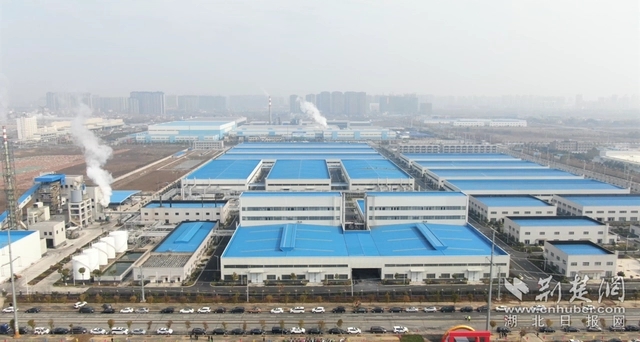 園區(qū)企業(yè)。記者 魯偉龍 攝.webp.jpg