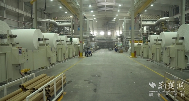 麗邦紙業(yè)。記者 魯偉龍 攝.webp.jpg