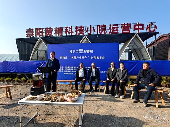 崇陽(yáng) 黃精.jpg.jpg